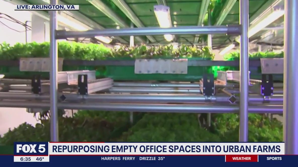 Turning empty office spaces in Arlington into urban farms